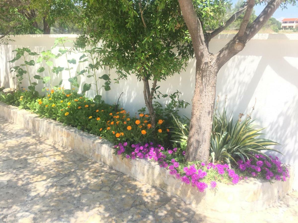 Marija Apartment Nin Εξωτερικό φωτογραφία